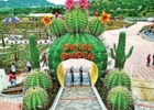 Cactus Garden