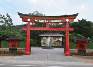 Miyawaki Forest